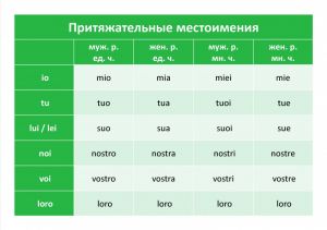 Притяжательные местоимения