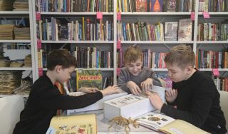 Библиотечный урок «Где найти динозавра?»