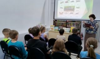 Познавательная беседа «Мир насекомых» Познавательная беседа «Мир насекомых»